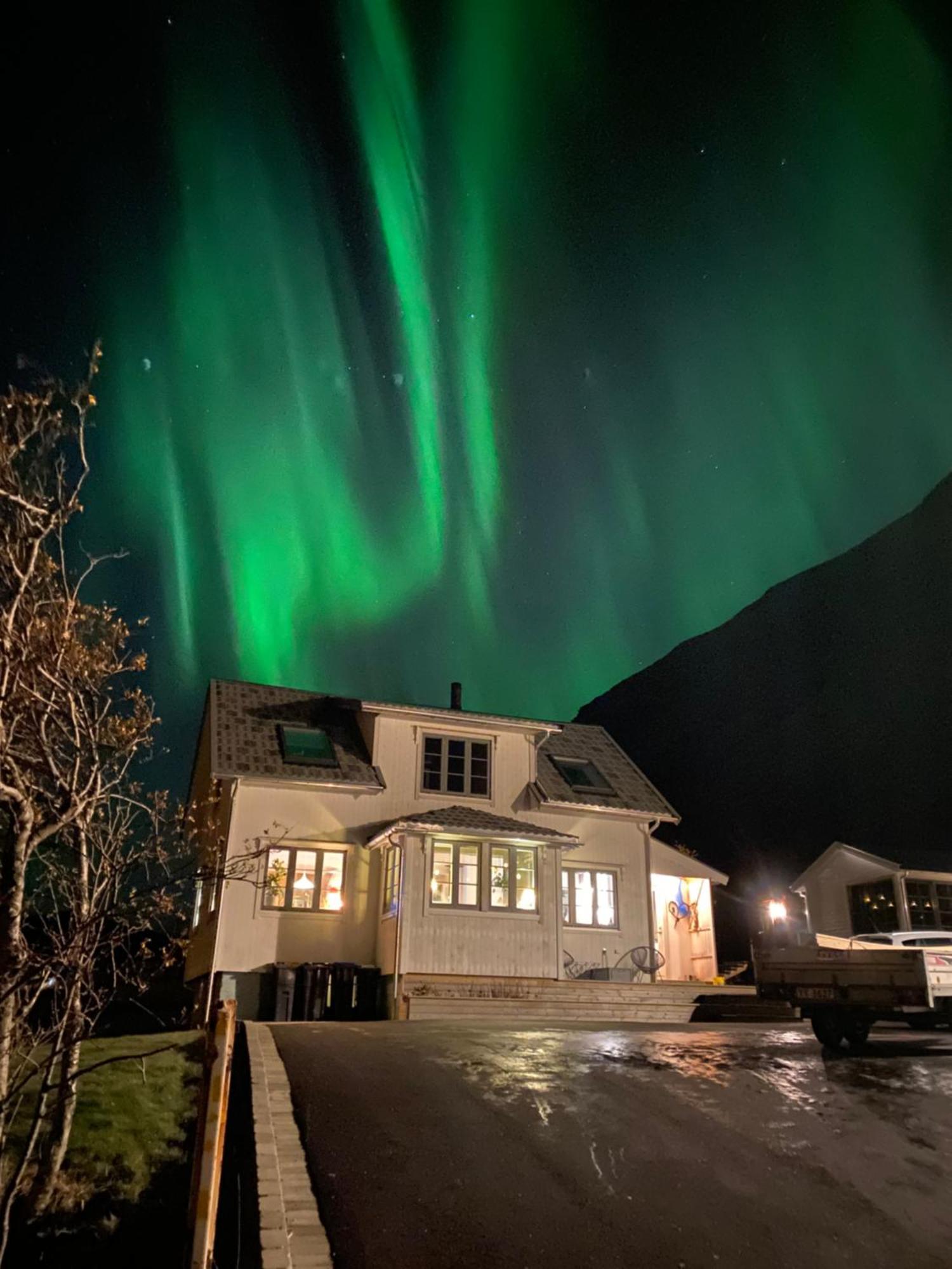 Vila Dyr Tillatt I Vakkert Hus Med Naturomgivelser I Lofoten Sennesvik Exteriér fotografie